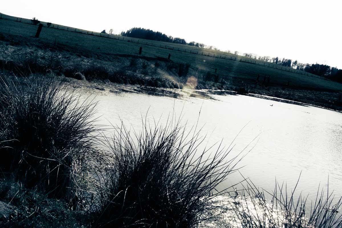 eichholz-maar_7445
