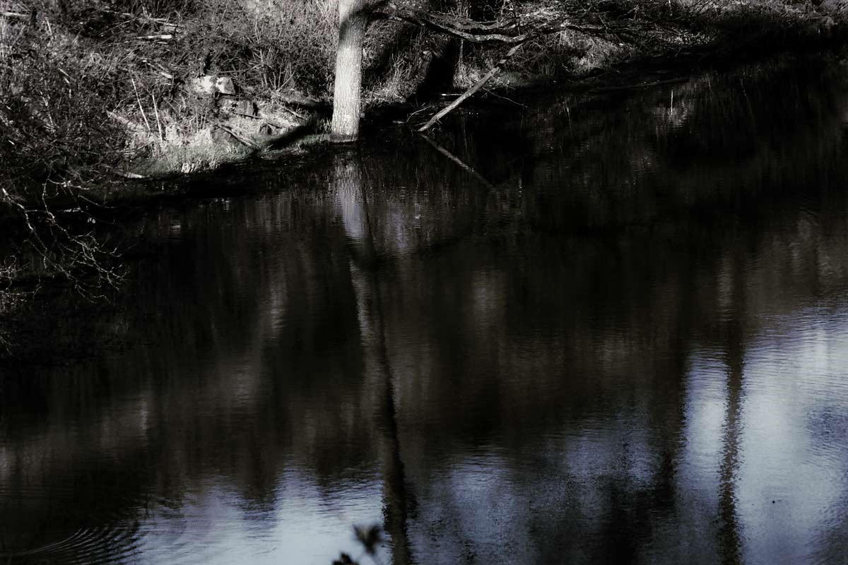 eichholz-maar_7540