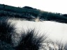 eichholz-maar_7445