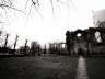 holland_2730